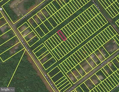 /international/us/11th-street-lot-39-colonial-beach-va-110105222037/