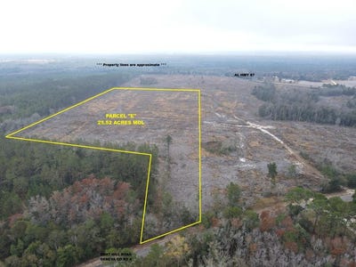 /international/us/24-acres-goat-hill-rd-samson-al-110103721965/