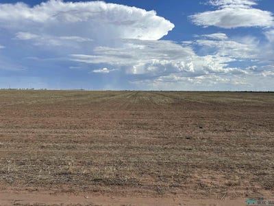 /international/us/627-sr-523-road-clovis-nm-110097194602/