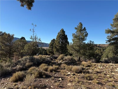 /international/us/46280-boron-lane-big-bear-city-ca-110120121013/