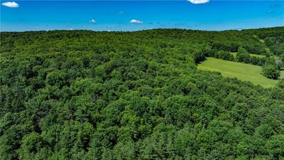 /international/us/lower-ravine-road-norwich-ny-110100971845/?lang=en
