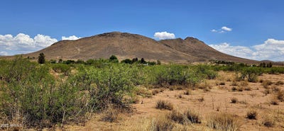 /international/us/lot-6-kansas-settlement-road-pearce-az-110100478675/?lang=zh-cn