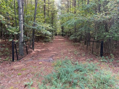 /international/us/parcel-dripping-springs-road-dendron-va-110120485850/