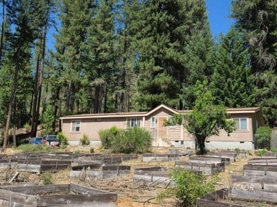 /international/us/3180-state-highway-3-hayfork-ca-110100191033/