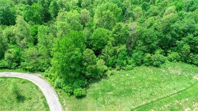 /international/us/63600-wintergreen-road-lore-city-oh-110084710949/?lang=zh-tw