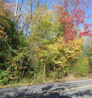 /international/us/0-elm-st-hanover-ma-110101180087/?lang=zh-cn