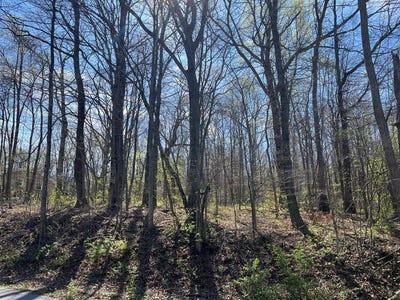 /international/us/foxborough-lot-8-north-tazewell-va-110107605309/