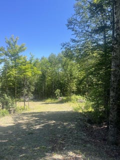 /international/us/forest-city-road-lot-23-3-forest-city-twp-me-110119492410/