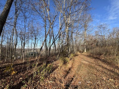 /international/us/71-hilltop-drive-branford-ct-110103627268/