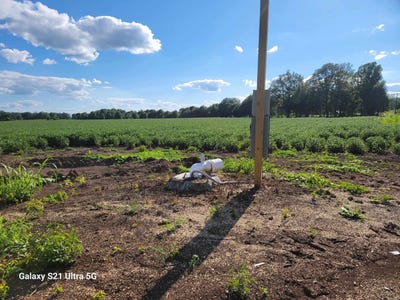 /international/us/masonville-road-mcgehee-ar-110102332507/