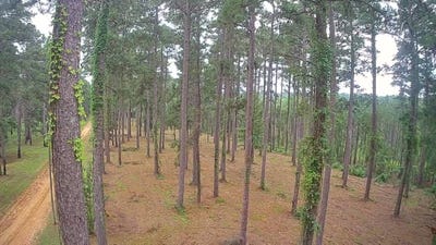 /international/us/14-carpenter-jena-la-110105051961/