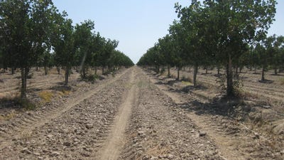 /international/us/99999-corner-of-road-104-ave-104-ne-pixley-ca-110100074303/