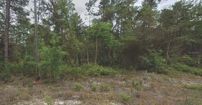/international/us/120-new-york-avenue-satsuma-fl-110104432242/