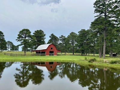 /international/us/19755-wildwood-drive-raymondville-mo-110108426061/