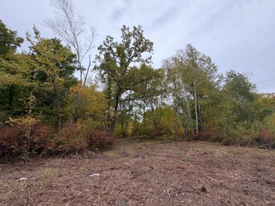 /international/us/51315-sand-creek-rd-bruno-mn-110120454125/