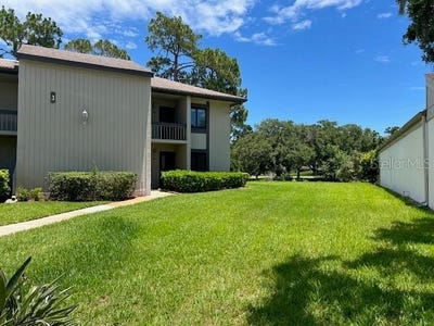 /international/us/140-nina-way-oldsmar-fl-110100339805/