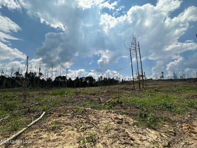 /international/us/whitetown-lane-hazlehurst-ms-110102375136/