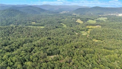 /international/us/0-bell-mountain-road-hays-nc-110101073417/