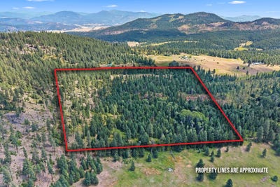 /international/us/tbd-dry-creek-rd-chewelah-wa-110101433700/?lang=en