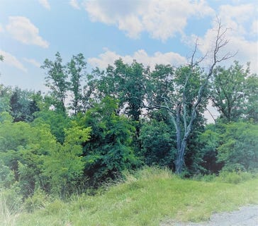 /international/us/hemlock-hills-rd-lot-2a-towanda-pa-110102852557/