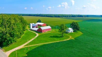 /international/us/6370-township-road-116-ridgeway-oh-110106173785/