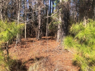 /international/us/0-sandbed-pamplico-sc-110097045315/