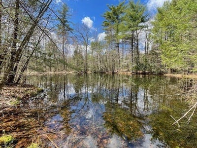 /international/us/7-l-new-athol-rd-petersham-ma-110106931939/
