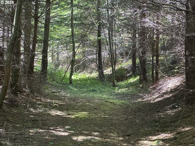 /international/us/glenn-creek-rd-allegany-or-110102096278/