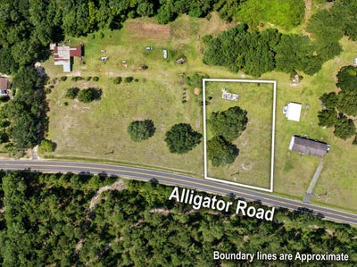 /international/us/alligator-road-cordesville-sc-110110176280/