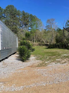 /international/us/blue-creek-rd-vina-al-110106979189/