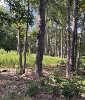 /international/us/2571-little-cove-rd-owens-cross-roads-al-110101223527/?lang=en
