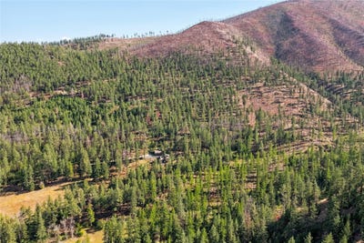 /international/us/14605-mormon-creek-road-lolo-mt-110120626252/