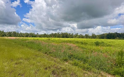 /international/us/000-nw-50th-lane-jennings-fl-110100722382/