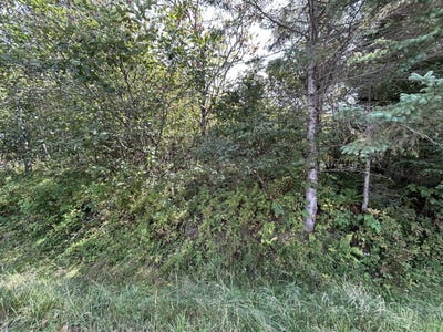 /international/us/m38-l33-grandview-avenue-rangeley-me-110119930706/