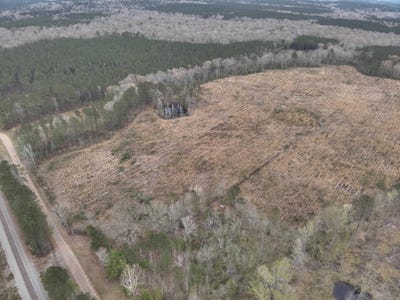 /international/us/1-ouachita-cr-101-ogemaw-ar-110107506059/