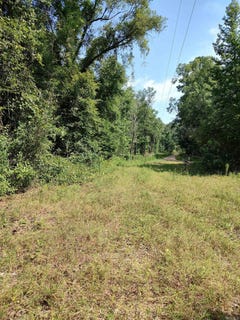 /international/us/80-acres-calhoun-199-road-hampton-ar-110092859646/