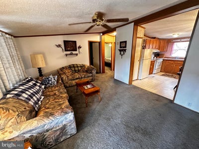 /international/us/98-bear-run-road-oakland-md-110101214745/