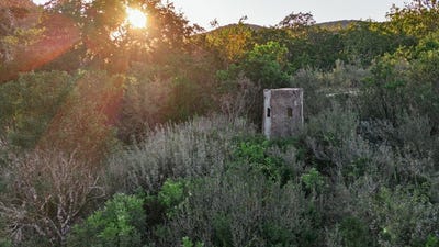 /international/us/2581-patterson-creek-rd-leakey-tx-110102651815/