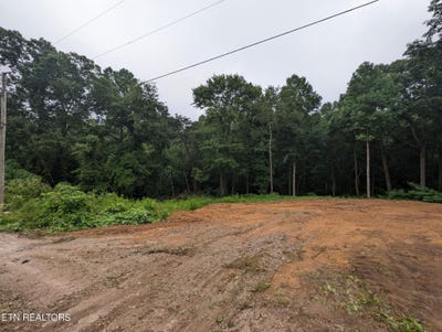 /international/us/248-n-norris-st-jamestown-tn-110106309460/