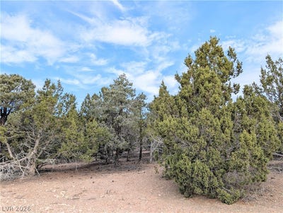 /international/us/side-hill-pass-lot-1-a-pioche-nv-110110349997/