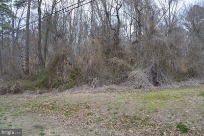 /international/us/brownsville-road-centreville-md-110071601162/