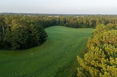 /international/us/00-state-highway-259-overton-tx-110100596789/