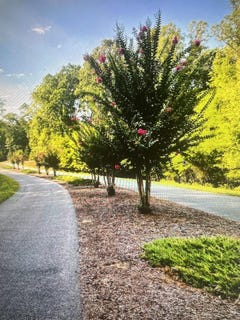 /international/us/garrison-ridge-lot-27-pittsville-va-110102855066/