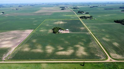 /international/us/14197-350th-ave-springfield-mn-110109144397/