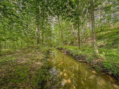 /international/us/9999-yellow-springs-road-road-london-ky-110099957881/