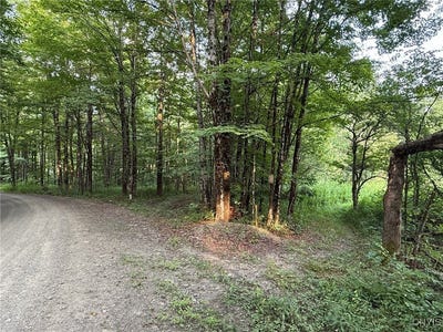 /international/us/dutch-hill-road-cincinnatus-ny-110101459426/?lang=en