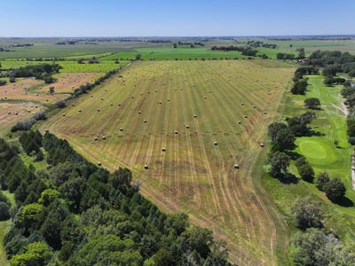 /international/us/buffalo-bill-north-grass-north-platte-ne-110102679348/