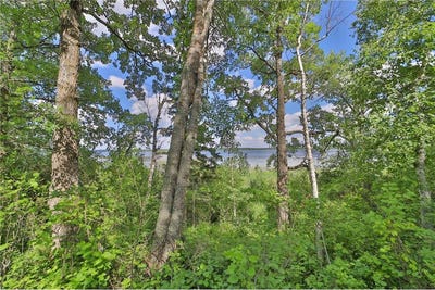 /international/us/tbd-pine-mountain-lake-road-nw-backus-mn-110100916832/?lang=en