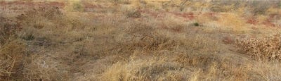 /international/us/04333001075-twisselman-road-lost-hills-ca-110098247124/