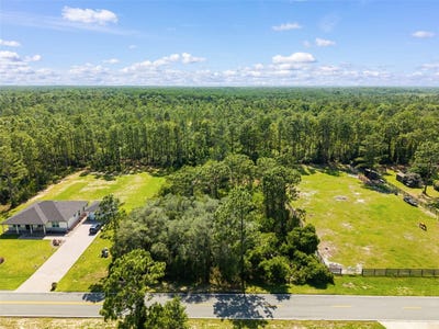 /international/us/royal-trails-road-eustis-fl-110108655830/